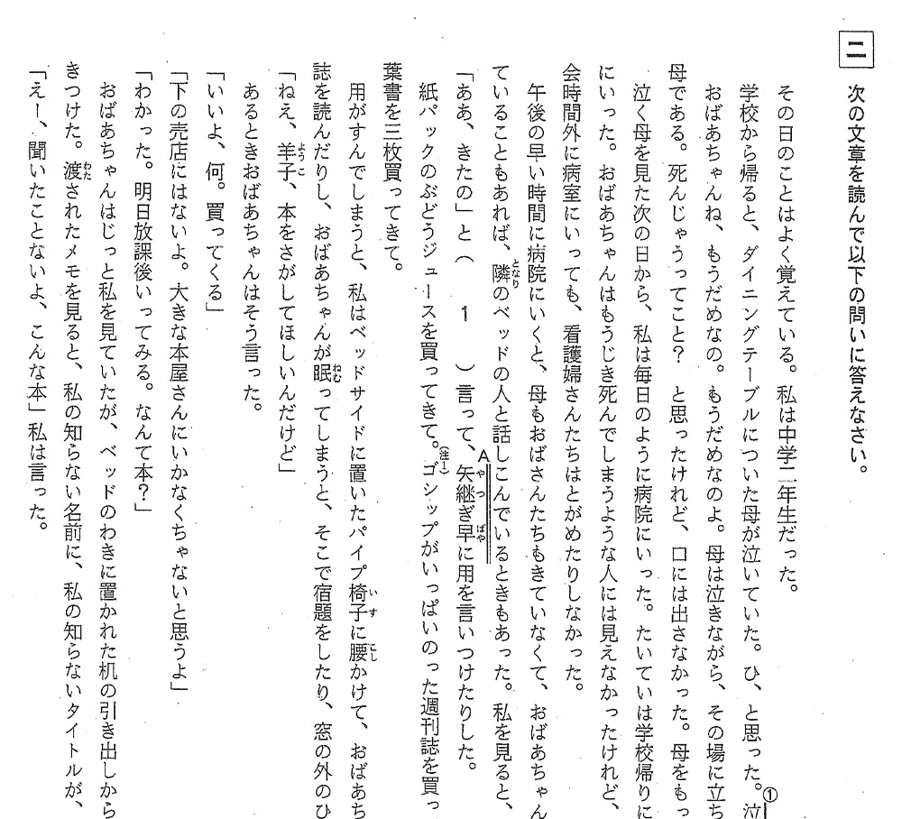 国語　日能研6年生の問題